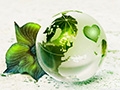 Ecology