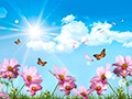 Summer