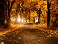 Automn