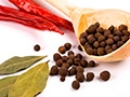 Spice
