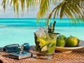 Tourism & Holiday