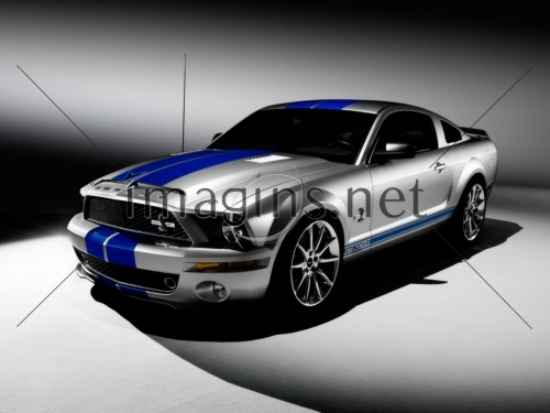 2008 Ford Shelby GT500KR