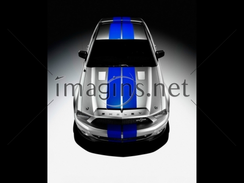 2008 Ford Shelby GT500KR