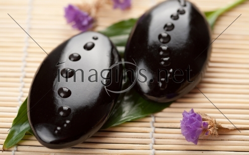 Imagins_0012