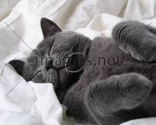 Imagins0025