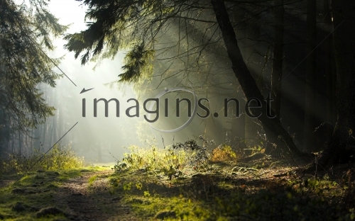 Imagins0028