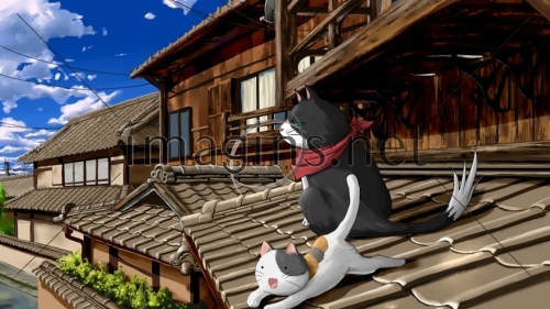 Imagins0045