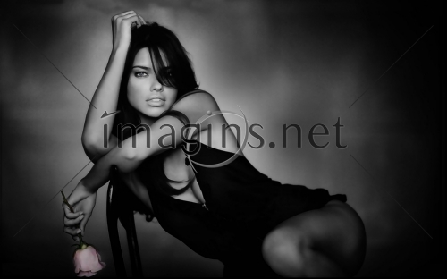 Imagins0050