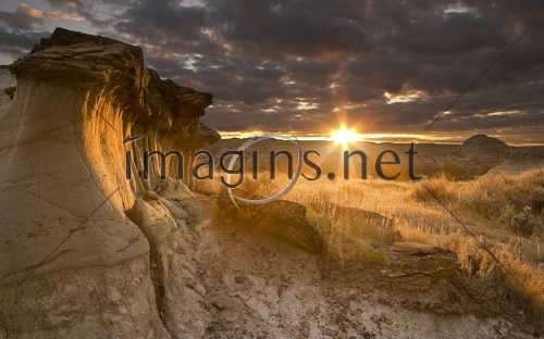 Imagins_0074
