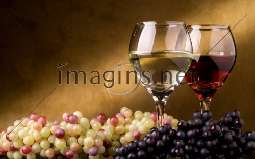 Imagins0111