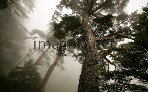 Imagins0116