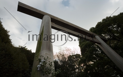 Imagins0162