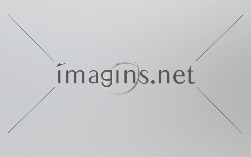 Imagins0167
