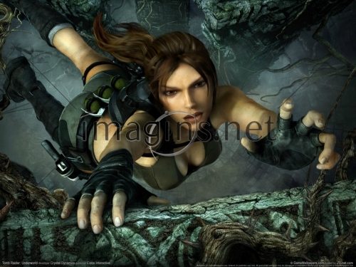 Imagins0178