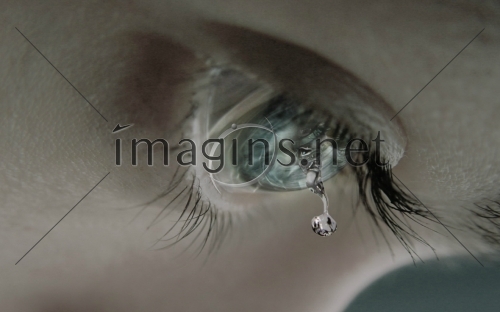 Imagins0185