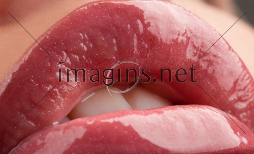 Imagins0195