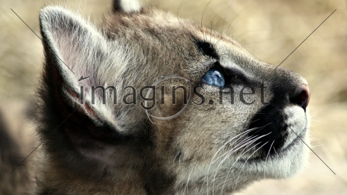 Imagins0197