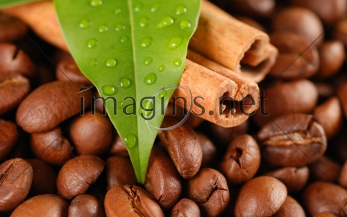 Imagins_0199