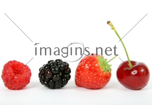Imagins0214