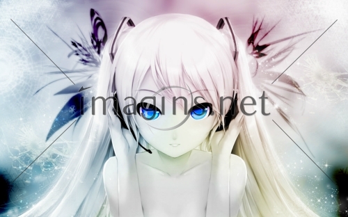 Imagins0218