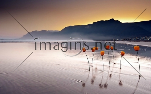 Imagins0221