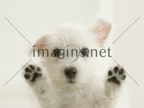 Imagins0222