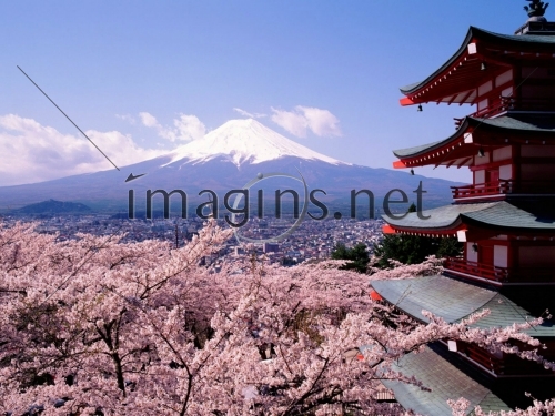 Imagins0225
