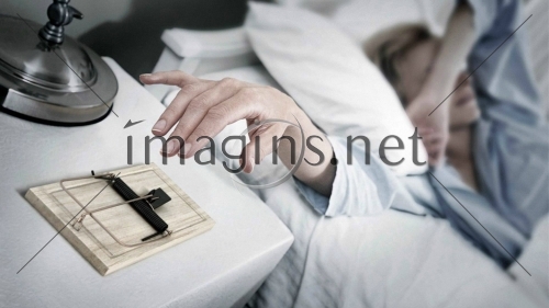 Imagins0229