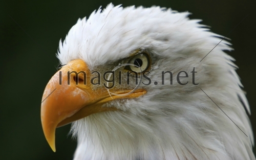 Imagins0234