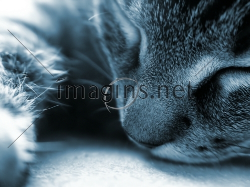 Imagins0236