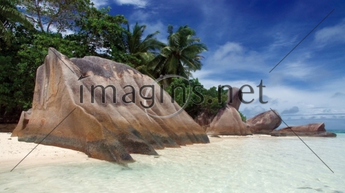 Imagins0241