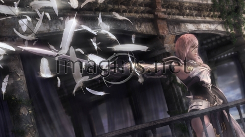 Imagins0242