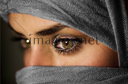 Imagins0251