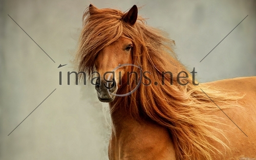 Imagins0260