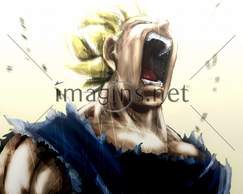 Imagins0293