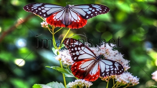 Imagins0325