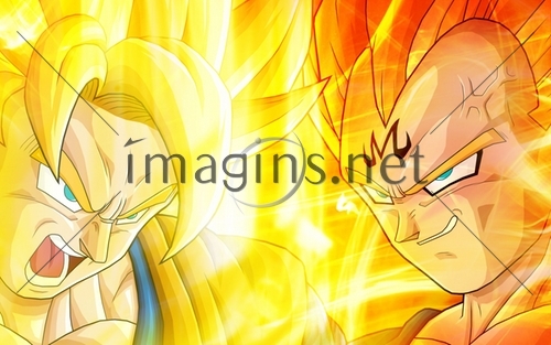 Imagins0356