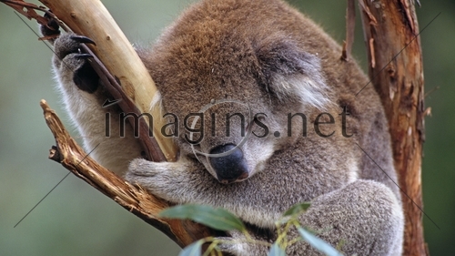 Imagins0360