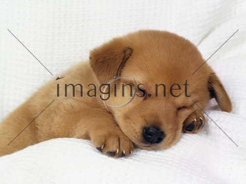 Imagins0377