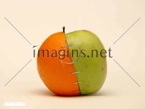 Imagins0405