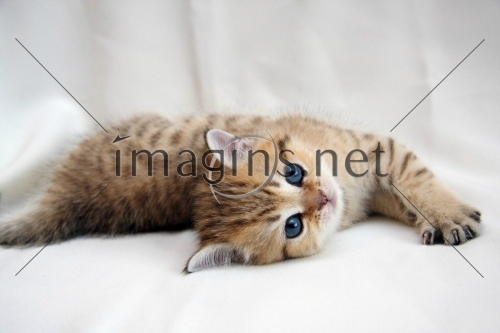 Imagins0425