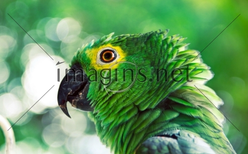 Imagins0430