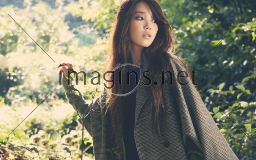Imagins0431