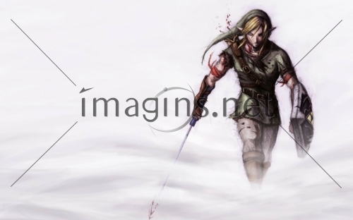 Imagins0455