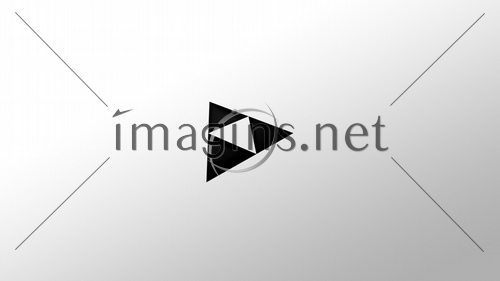 Imagins0484