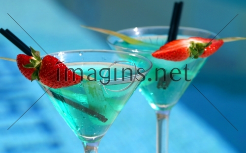 Imagins0500
