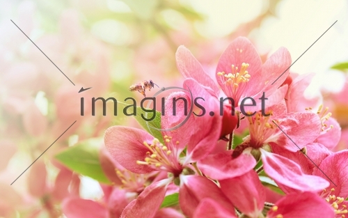Imagins0526