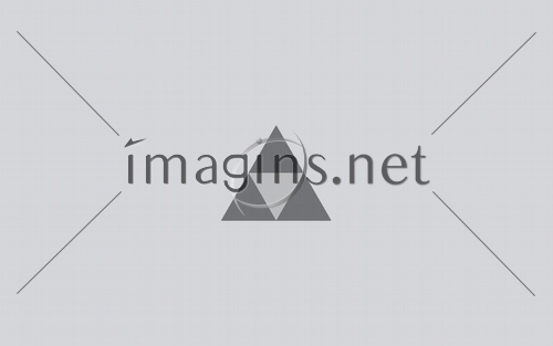 Imagins0547