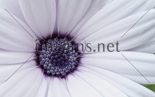 Imagins0561