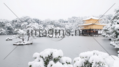 Imagins0562
